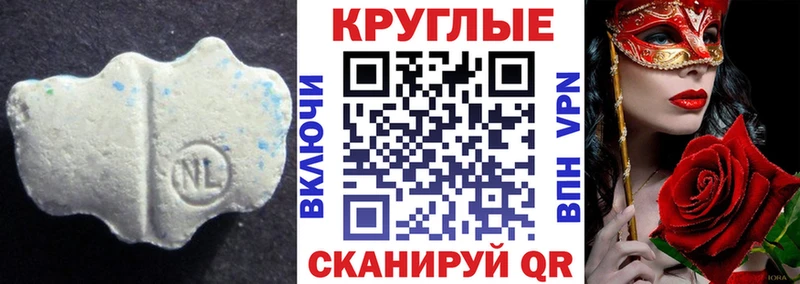 блэк спрут вход  Нея  Ecstasy Philipp Plein 