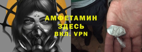 стаф Балахна