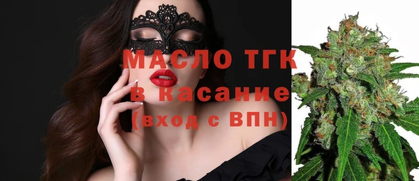 шишки Аркадак